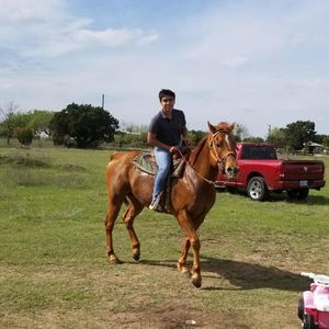 Meet your Posher, Raphael